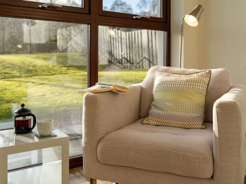 Furniture, Comfort, Window, Wood, Interior Design, Shade, Floor, Living Room, Plant, Wall