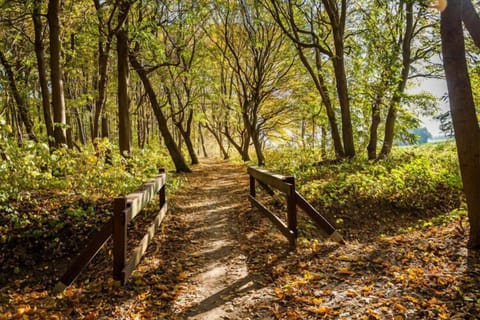 Surroundings [summer] (1-5 km)