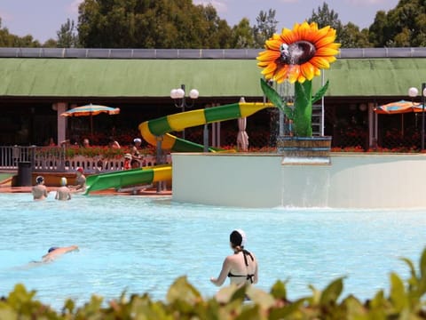 Water, Flower, Plant, Swimming Pool, Green, Sky, Yellow, Tree, Body Of Water, Leisure