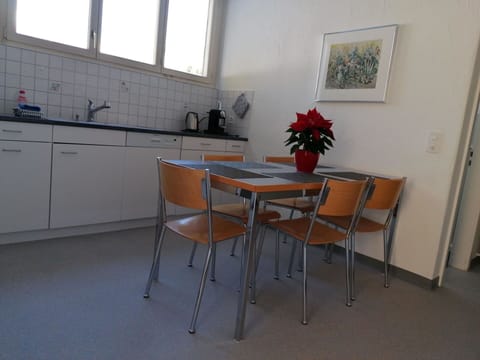 Table, Kitchen Sink, Flower, Furniture, Tap, Window, Sink, Picture Frame, Countertop, Cabinetry