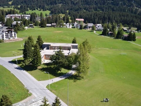 Plant, Building, Natural Landscape, Natural Environment, Tree, Highland, Land Lot, Biome, Grass, House