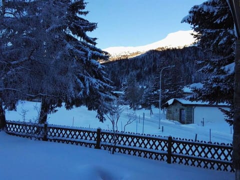Snow, Sky, Window, Fence, Tree, Natural Landscape, Slope, Building, Larch, Freezing