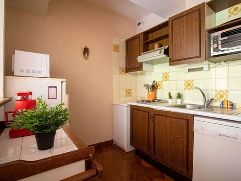 Cabinetry, Plant, Sink, Countertop, Kitchen Sink, Flowerpot, Houseplant, Building, Interior Design, Wood