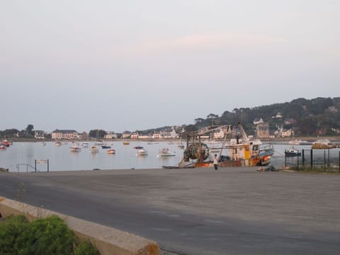 Plant, Table, Furniture, Property, Flowerpot, Building, Houseplant, Shade, Outdoor Furniture, Architecture