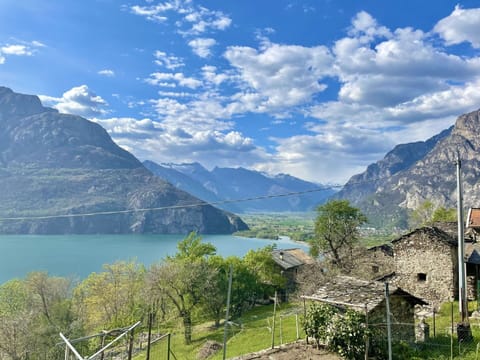 Plant, Table, Furniture, Property, Flowerpot, Building, Houseplant, Shade, Outdoor Furniture, Architecture