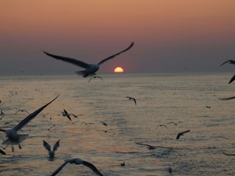 Sky, Water, Afterglow, Dusk, Sunset, Red Sky At Morning, Cloud, Horizon