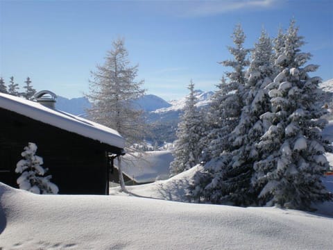 Snow, Winter, Branch, Geological Phenomenon, Freezing, Terrain, Hill Station, Larch, Slope, Glacial Landform