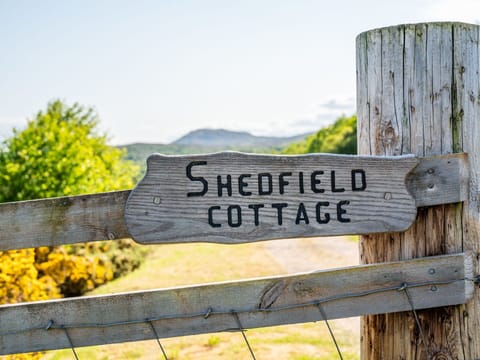 Sky, Cloud, Water, Building, Plant, Azure, Tree, Swimming Pool, Condominium, Shade