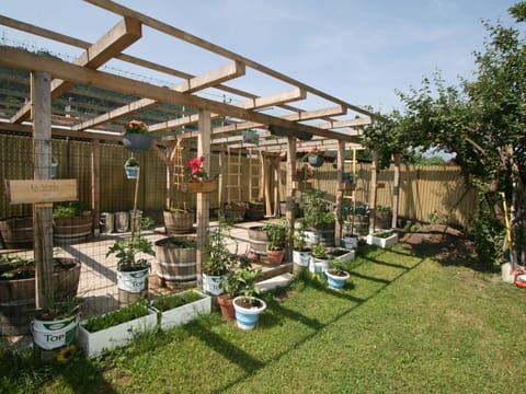 Plant, Sky, Property, Plant Community, Shade, Land Lot, Cloud, Tree, Landscape, Real Estate