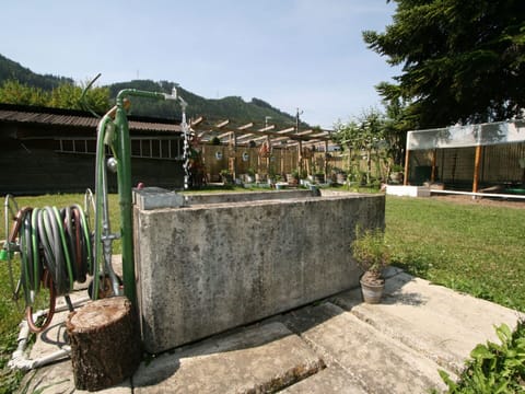 Plant, Sky, Land Lot, Tree, Road Surface, Grass, Landscape, Building, Asphalt, Cloud