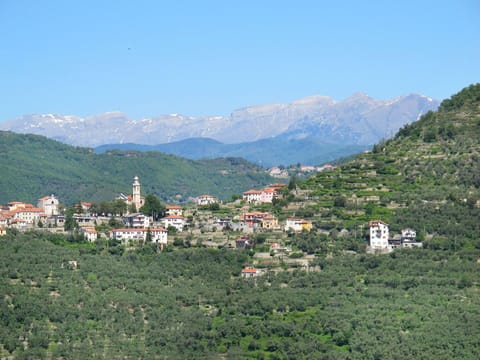 Water, Building, Plant, Sky, Daytime, Property, Swimming Pool, Azure, Window, Tree