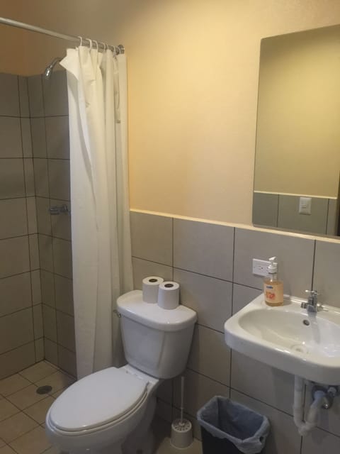 Family Studio Suite, 1 Bedroom, Private Bathroom | Bathroom | Shower, free toiletries, hair dryer, towels