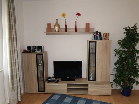 Plant, Property, Wood, Shelving, Interior Design, Flowerpot, Shelf, Living Room, Floor, Houseplant