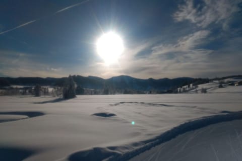 Immediate Surroundings [winter] (&lt;1 km)