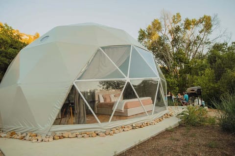 Surrounded by nature's beauty. Zen Zion is a tranquil retreat nestled in the trees, just off the highway.