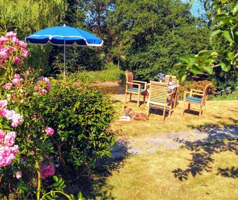 Table, chairs and parasol in the grounds at Penwaun, surrounded by trees and shrubs