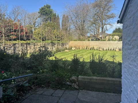Secure garden with lawn and shrubs