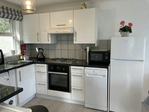 Fridge freezer, dishwasher and mircowave.