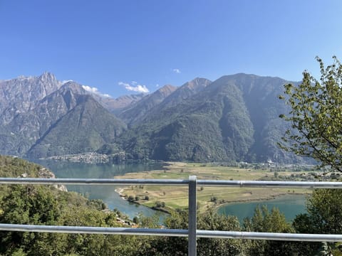Water, Plant, Sky, Building, Swimming Pool, Tree, Azure, Window, Real Estate, Leisure