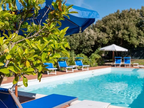 Water, Plant, Property, Swimming Pool, Azure, Blue, Outdoor Furniture, Shade, Sky, Chair