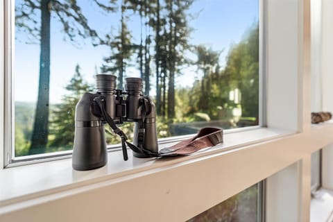 To help with the view!