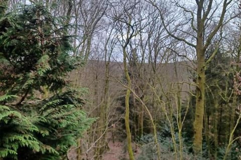 View from Holiday Home [winter]