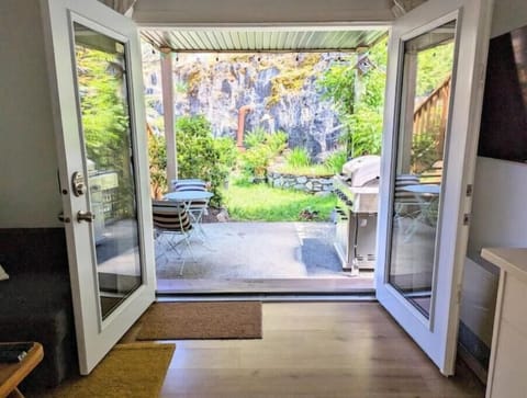 Patio doors and Covered Patio