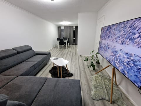 House | Living area | Flat-screen TV