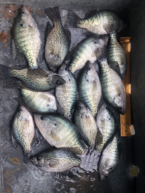 Did we mention the fishing is great?!