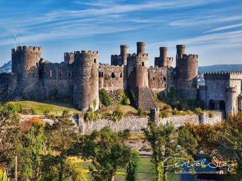 The Lower Gathering Wrexham