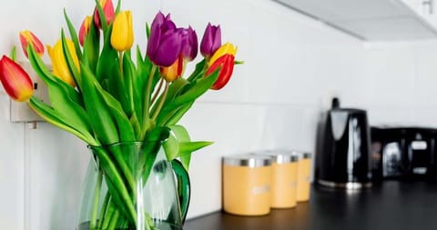 The Clifford Gathering Kitchen