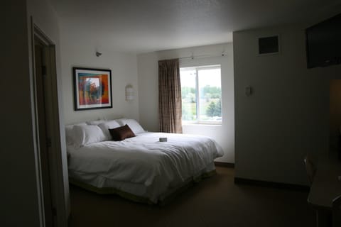 Standard Room, 1 King Bed | Egyptian cotton sheets, premium bedding, desk, blackout drapes