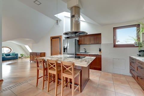 Superior Apartment | Private kitchen | Full-size fridge, oven, dishwasher, cookware/dishes/utensils