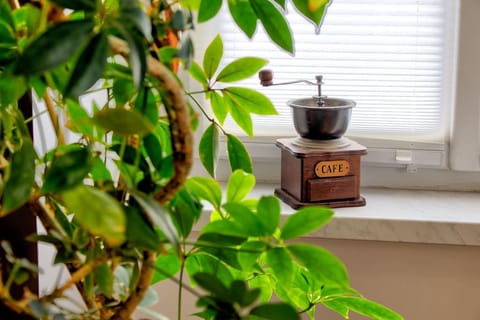 Superior Double Room | Living area