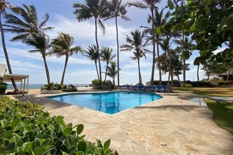 Amazing pool!
