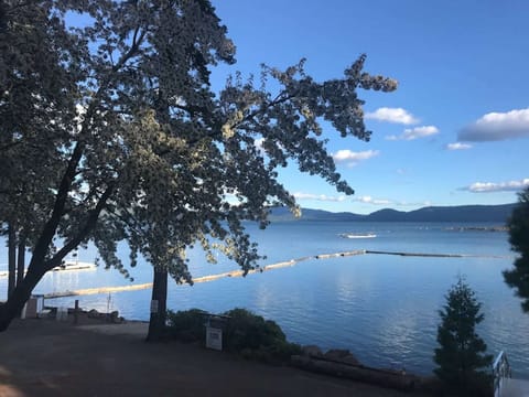 Cherry tree view from cabin 11 deck