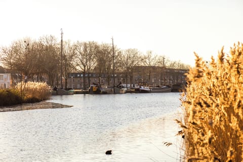 Peaceful Harbor: A Serene Escape in the City - VISIT BRABANT