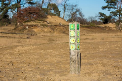 Trailhead Awaits: Start of a Scenic Nature Hike - VISIT BRABANT
Geniet van een goedkope overnachting in een studio of appartement in het centrum van Tilburg - dicht bij de Efteling, Beekse Bergen en het bruisende stadsleven.