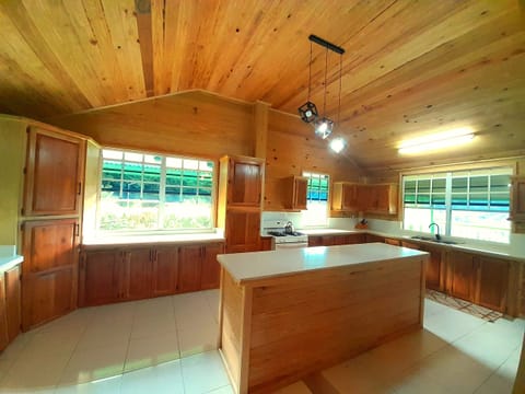 Cabin | Private kitchen | Oven, kitchen islands