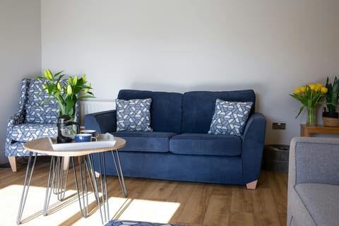 Lounge with sofas, coffee table and armchair