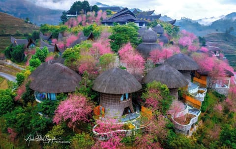 Mu Cang Chai Pool Suite King | Minibar, free WiFi, bed sheets