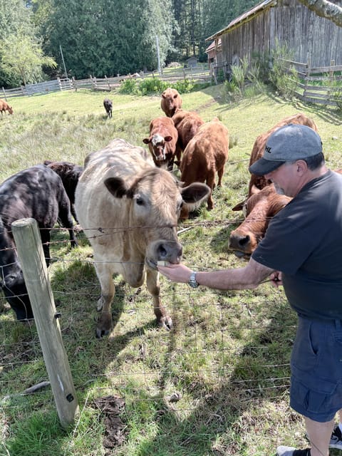 Lilac first in line for some apples! 