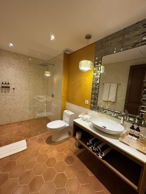 Premium Double Room | Bathroom | Shower, rainfall showerhead, designer toiletries, towels