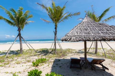 On the beach, white sand, free beach shuttle, beach bar