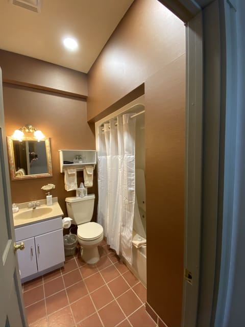 Junior Suite | Bathroom | Combined shower/tub, free toiletries, hair dryer, towels