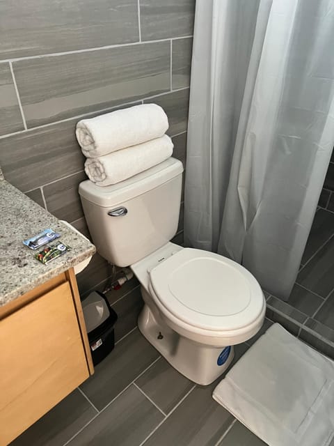 Basic Room | Bathroom | Towels