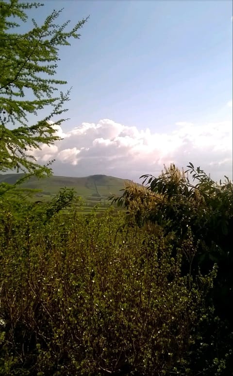 Surrounded by Stunning Woodlands