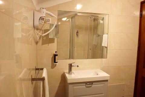 Suite | Bathroom | Shower, free toiletries, hair dryer, shampoo