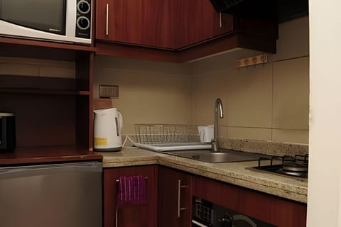 Basic Apartment | Private kitchen | Full-size fridge, microwave, oven, toaster