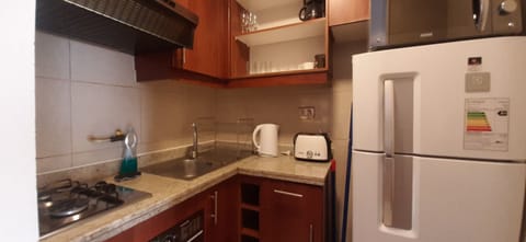 Basic Apartment | Private kitchen | Full-size fridge, microwave, oven, toaster